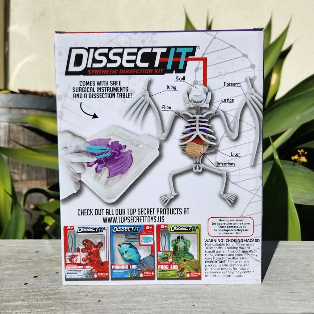 NEW Dissect-it Synthetic Lab Dissection Toy STEM KIT CRAFT Project Bat Biology